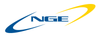 Groupe NGE